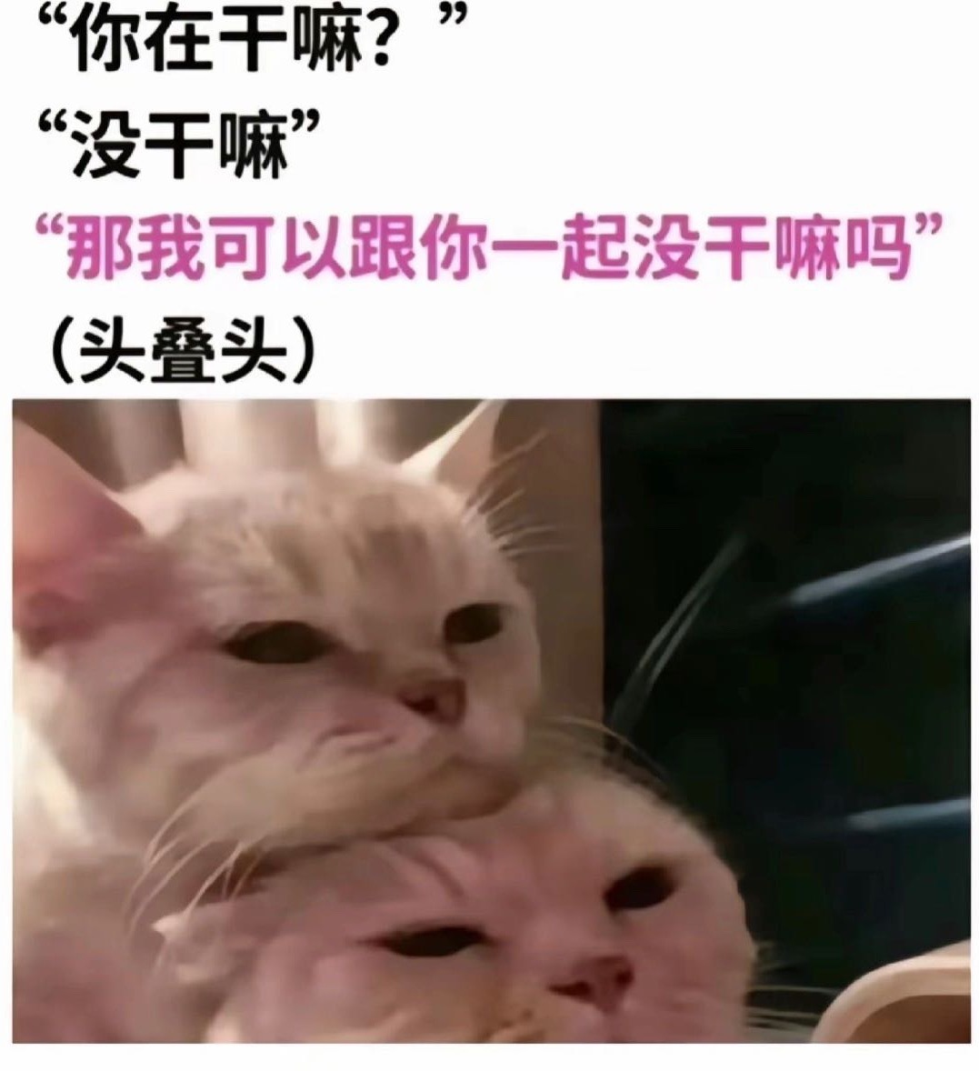 时间过得真快转眼间电台3.3w粉了相逢即是缘 都吃一口我家产再走[兔子] ​​​