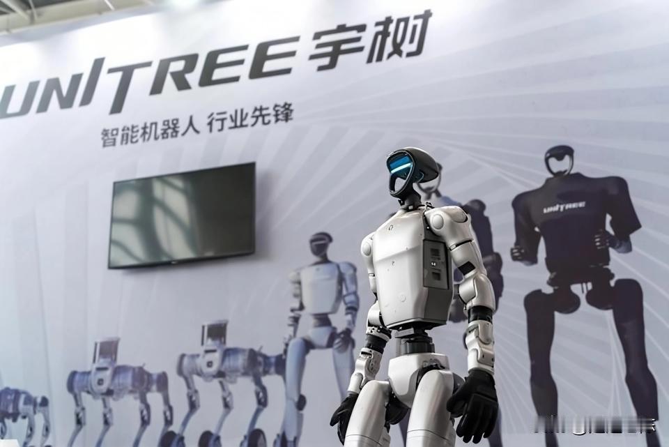 唐湘龙先生最近的一番话，揭开了一段极具讽刺意味的国际博弈史。
十年前，中国在联合