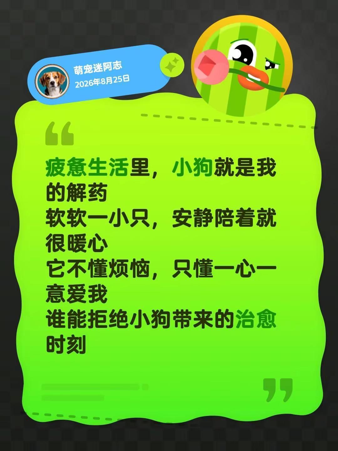 成年人的疲惫，全靠小狗治愈。疲惫生活里，小狗就是我的解药软软一小只，安静陪着就很
