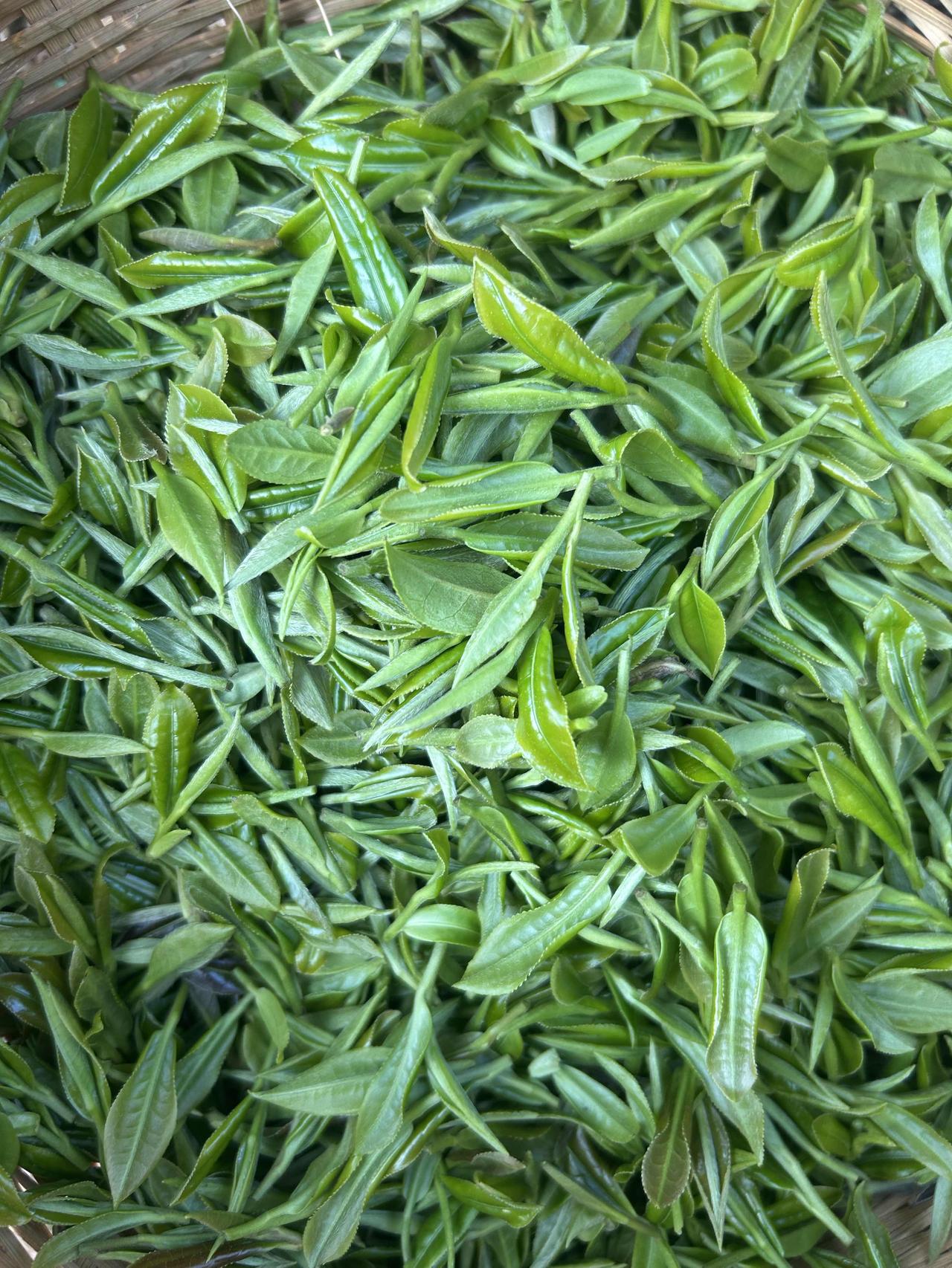 最近太忙，
没时间更新任何内容。
早上六点半上山，
下午五点才进门。
回来就把鲜