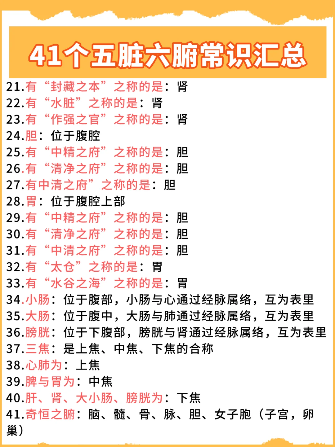 41个五脏六腑常识汇总