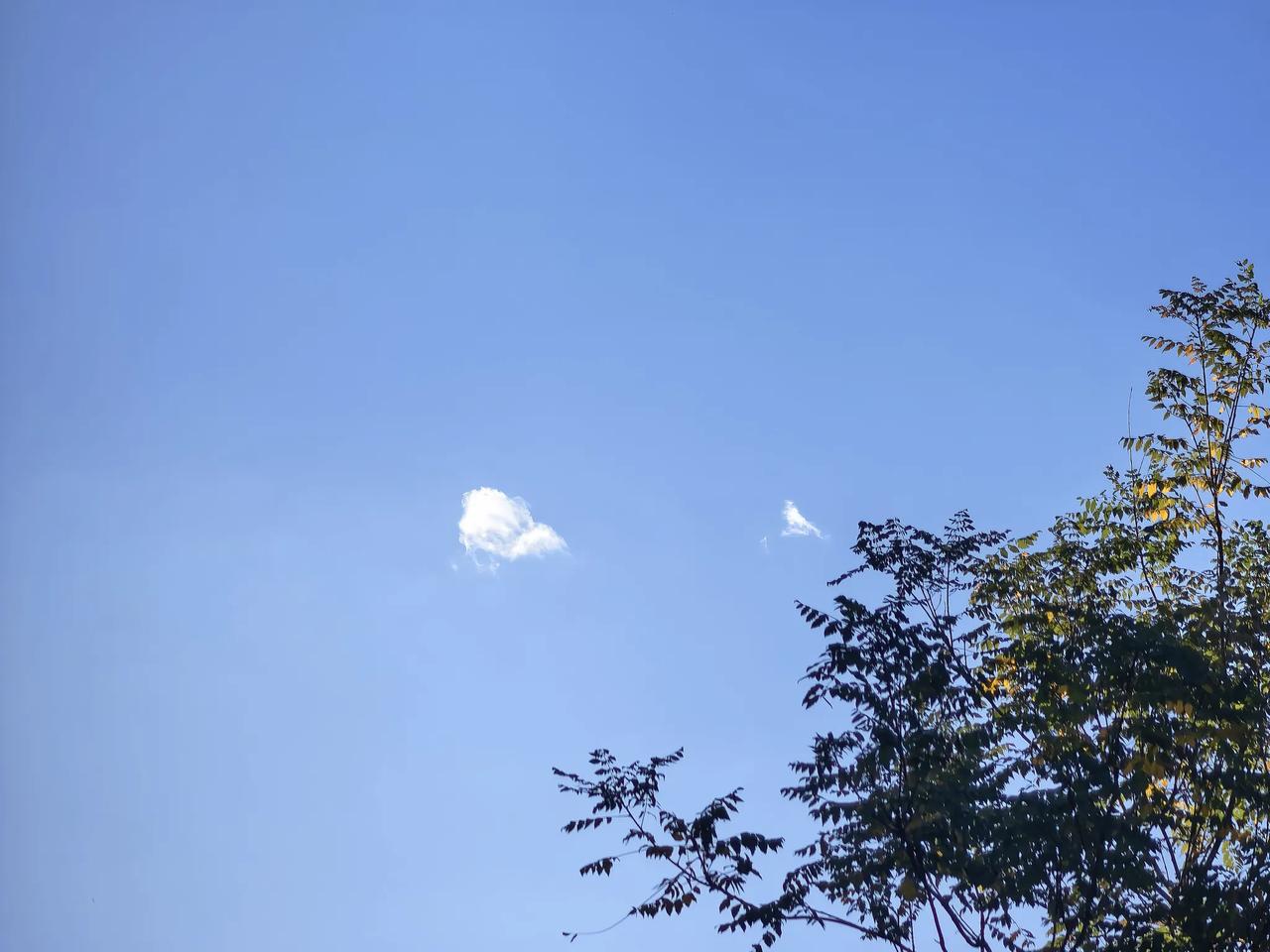 一家人，在楼下公园的光影里，徜徉，自由自在。挺好。光影 风景