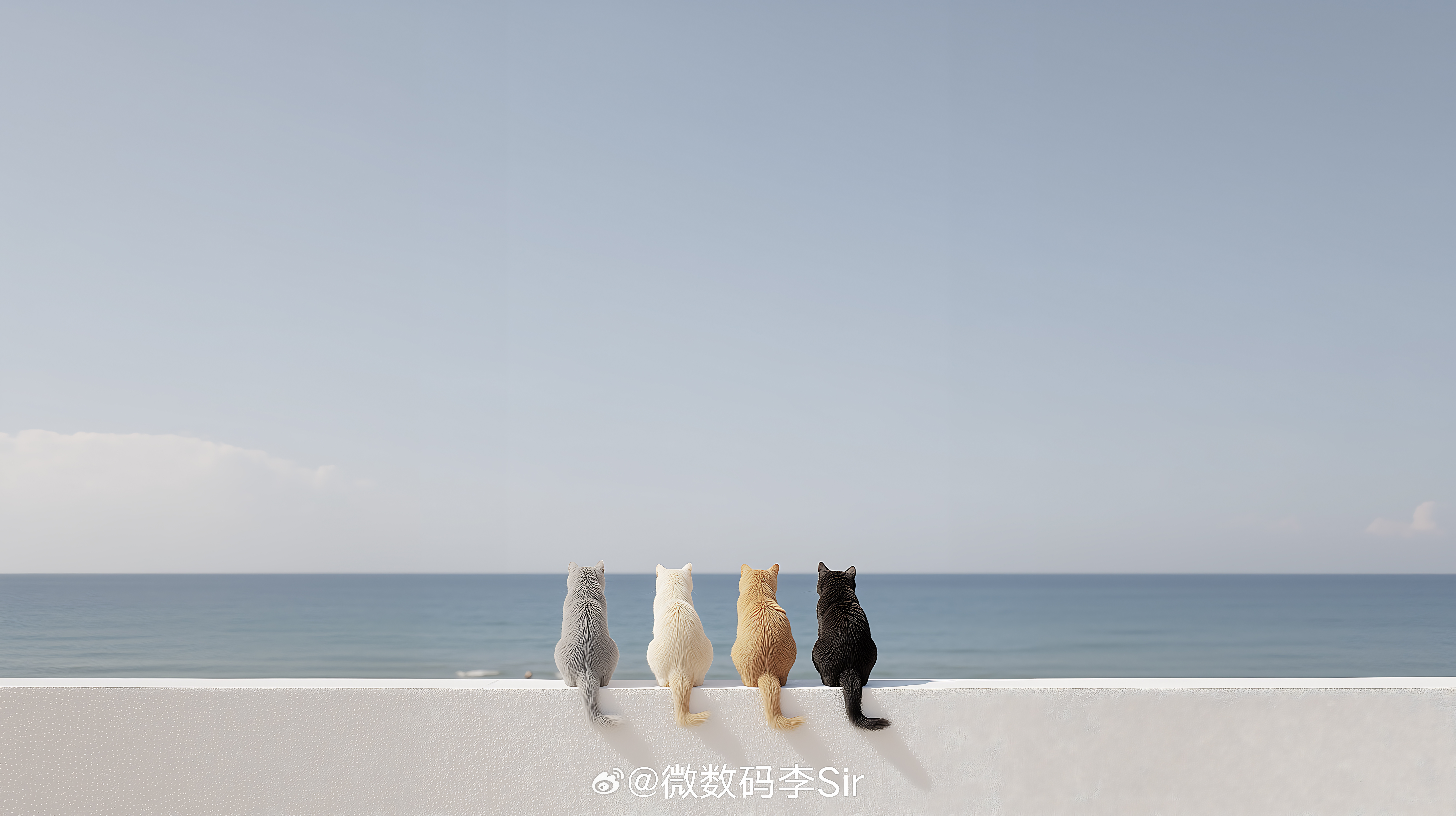 今日份壁纸
