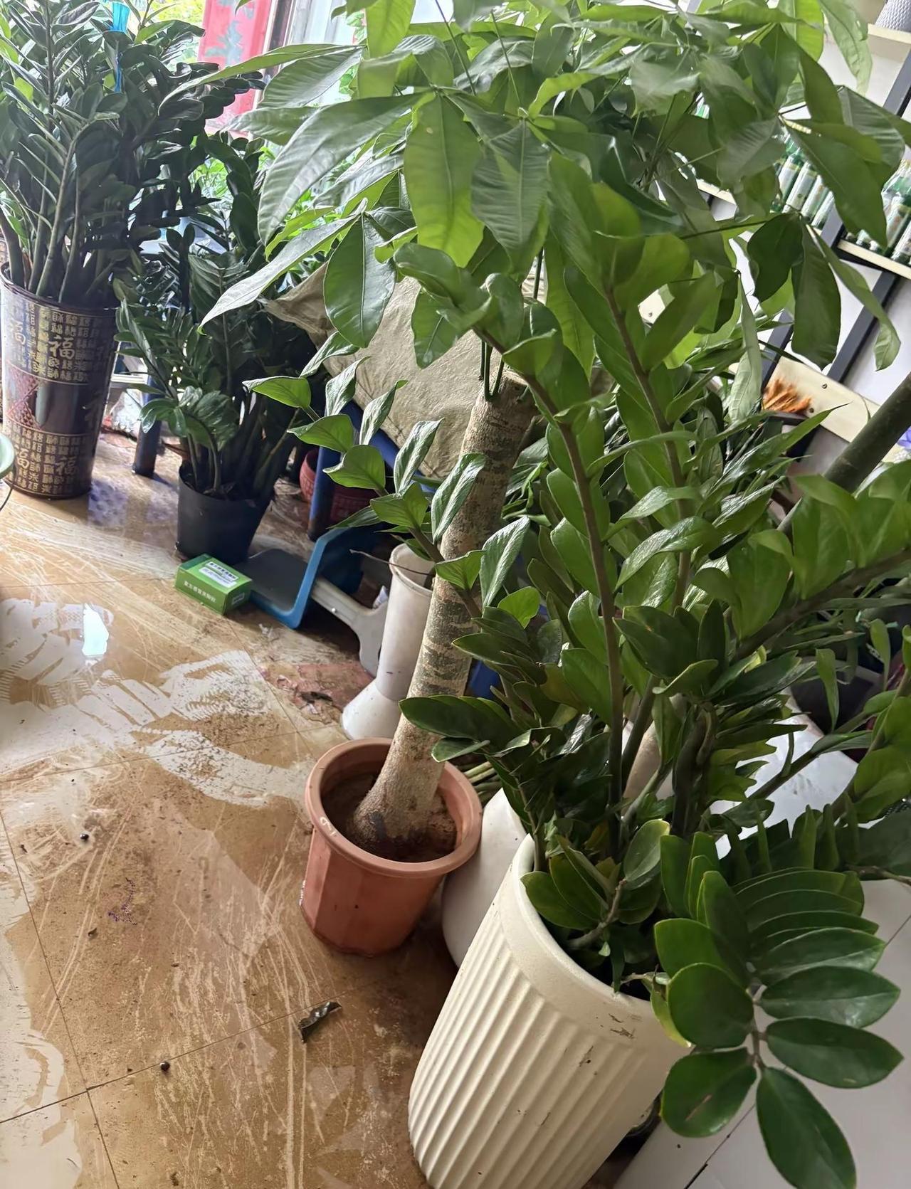 暴雨洪涝袭桂，幸得八方守望。感谢全国各地救援队、爱心同胞千里奔赴支援广西！同舟共