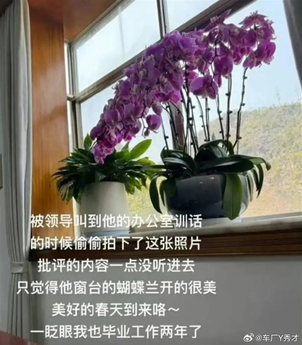 现在所谓的养龙虾，跟我们当年风靡一时的偷菜有什么区别？ 