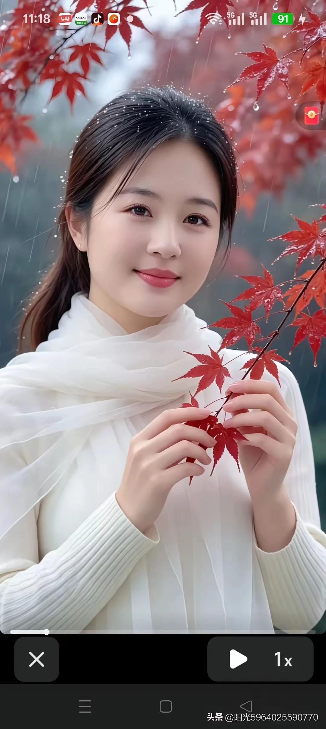 狗咬吕洞宾，不识好人心