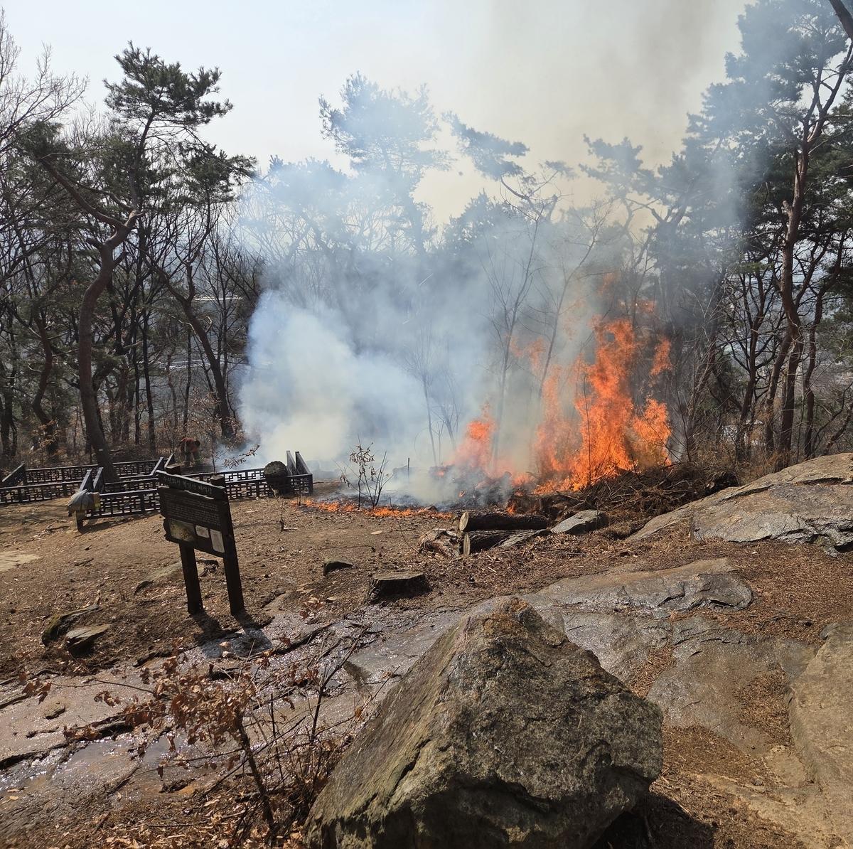 12 日上午11 时10分左右，京畿道水原市八达区八达山一带的八达公园发生火灾。