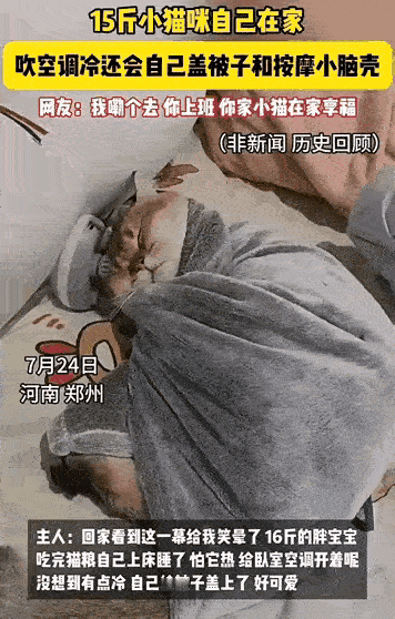成精了！”一女子出门去上班，留15斤的猫咪在家，担心它热得慌，特意开上了空调。结