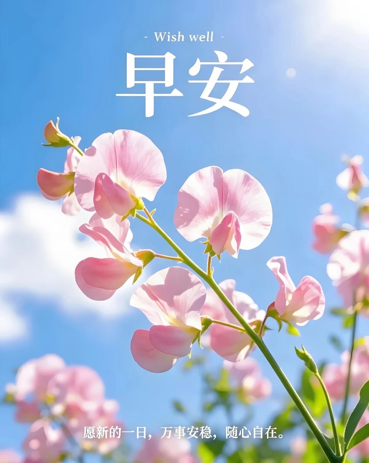 早安✨ 不必追赶别人的脚步，认真走好自己的路，平凡的日子，也会慢慢发光。新的一天