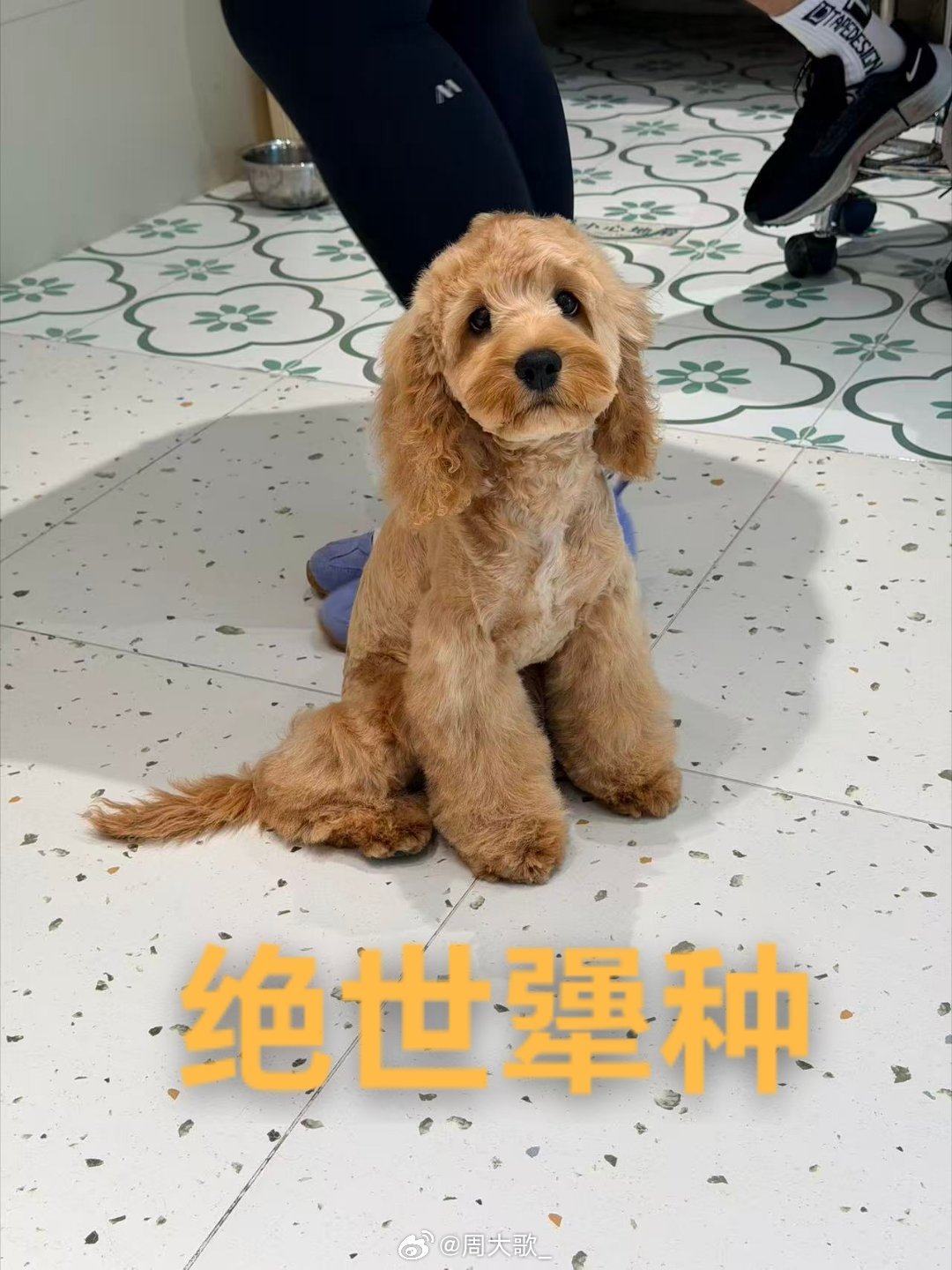 回家啦～下午物业给我打电话说小狗一直在家吠邻居来投诉了还问我是不是没给狗吃饭给它