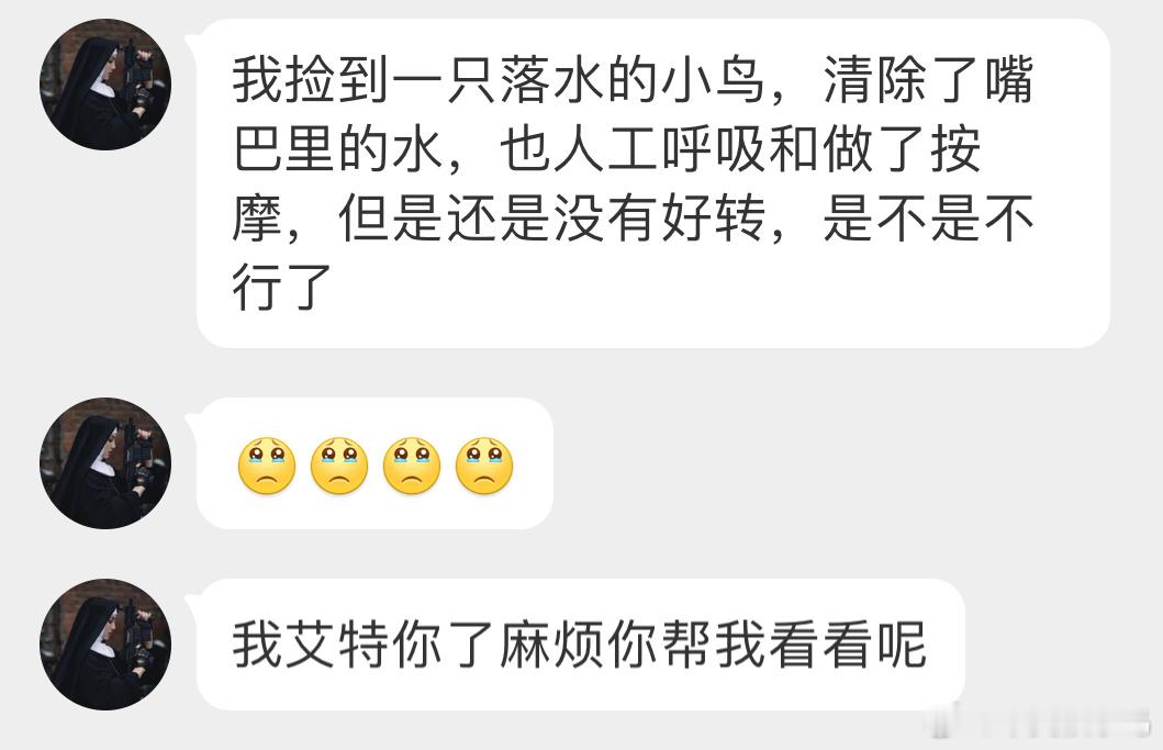 #鸟粉投稿# 落水的【鹊鸲qú】宝宝你甚至还给它做人工呼吸[泪]好善良呀，但还是