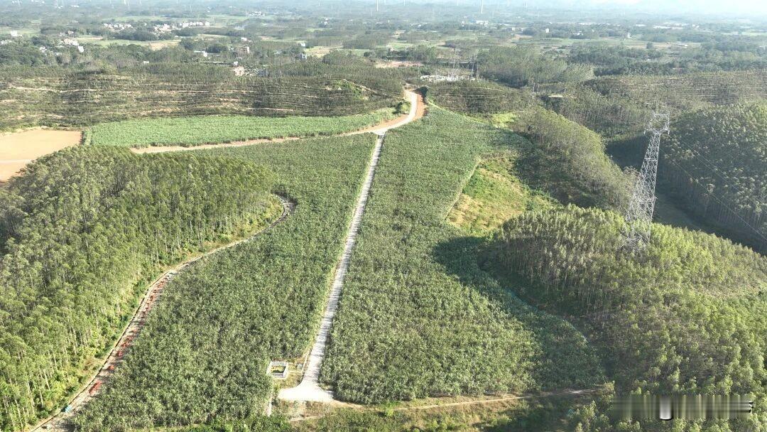 平陆运河于2026年9月16日建成通航，全长约134.2公里，按内河Ⅰ级标准建设