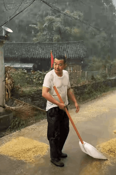 真悲催[泪奔]
大哥晒完玉米，喝酒睡着了，一觉醒来下雨了！这下白忙活了！