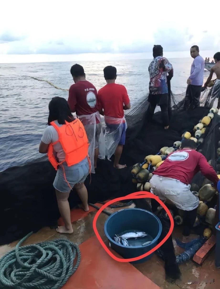 菲律宾民间组织到黄岩岛附近海域作秀严重怀疑是为了偷鱼。
菲方在网上大肆宣传圆满完