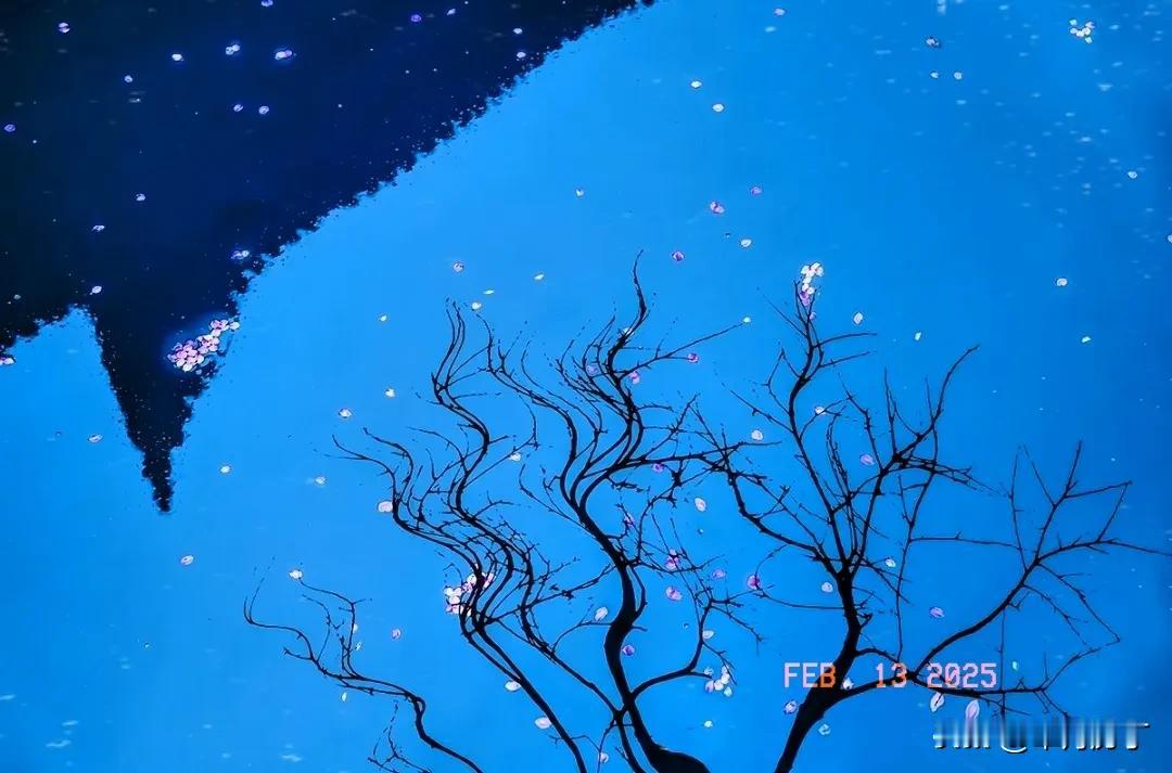星悬北斗夜色明。