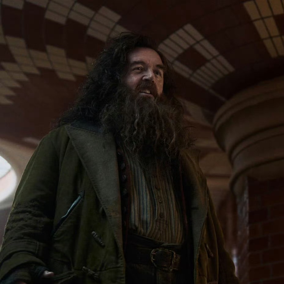 HBO剧版《哈利·波特》角色形象曝光引热议！尤其是黑人演员帕帕·厄希度饰演的斯内