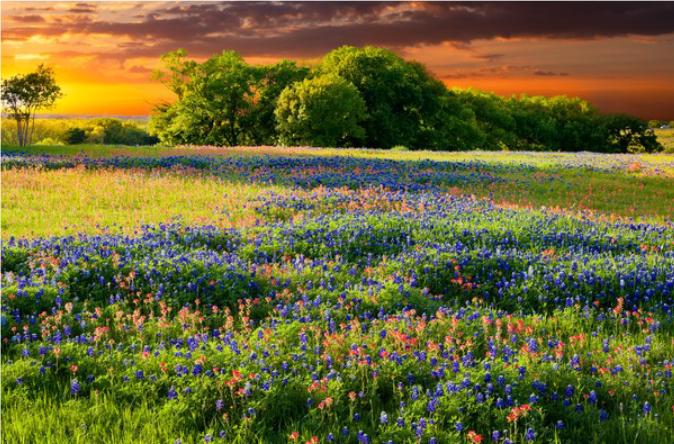 男人总是优先为考虑自己