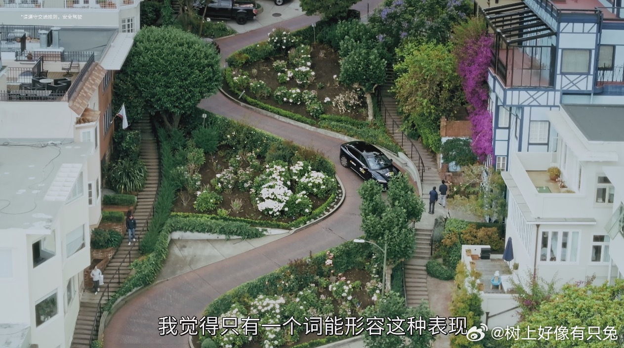 沿海崎岖路段不适合大型车辆、跑车与拖挂出行，车身灵活带转向辅助的车型，游览观景才