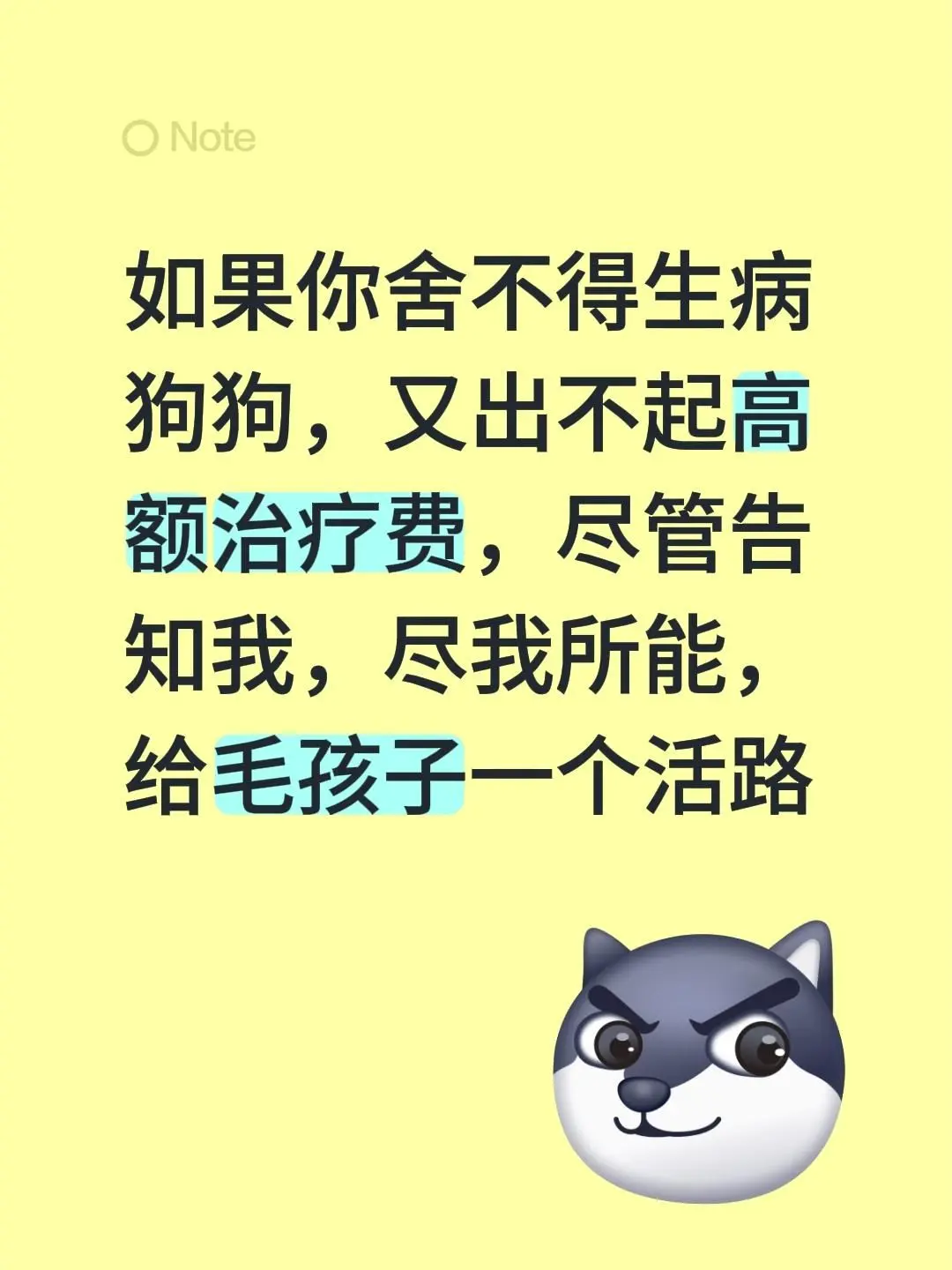 如果你舍不得生病狗狗，又出不起高额治疗费，尽管告知我，尽我所能，给毛孩子一个活路