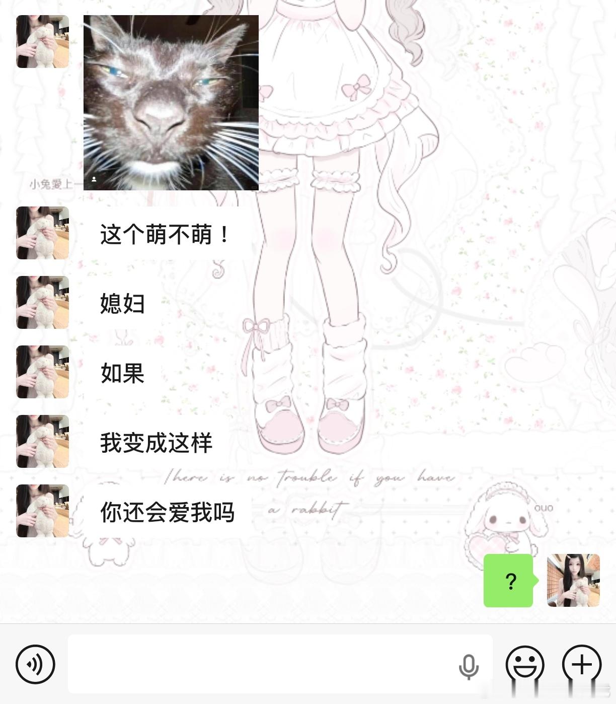 什么雷霆表情包。