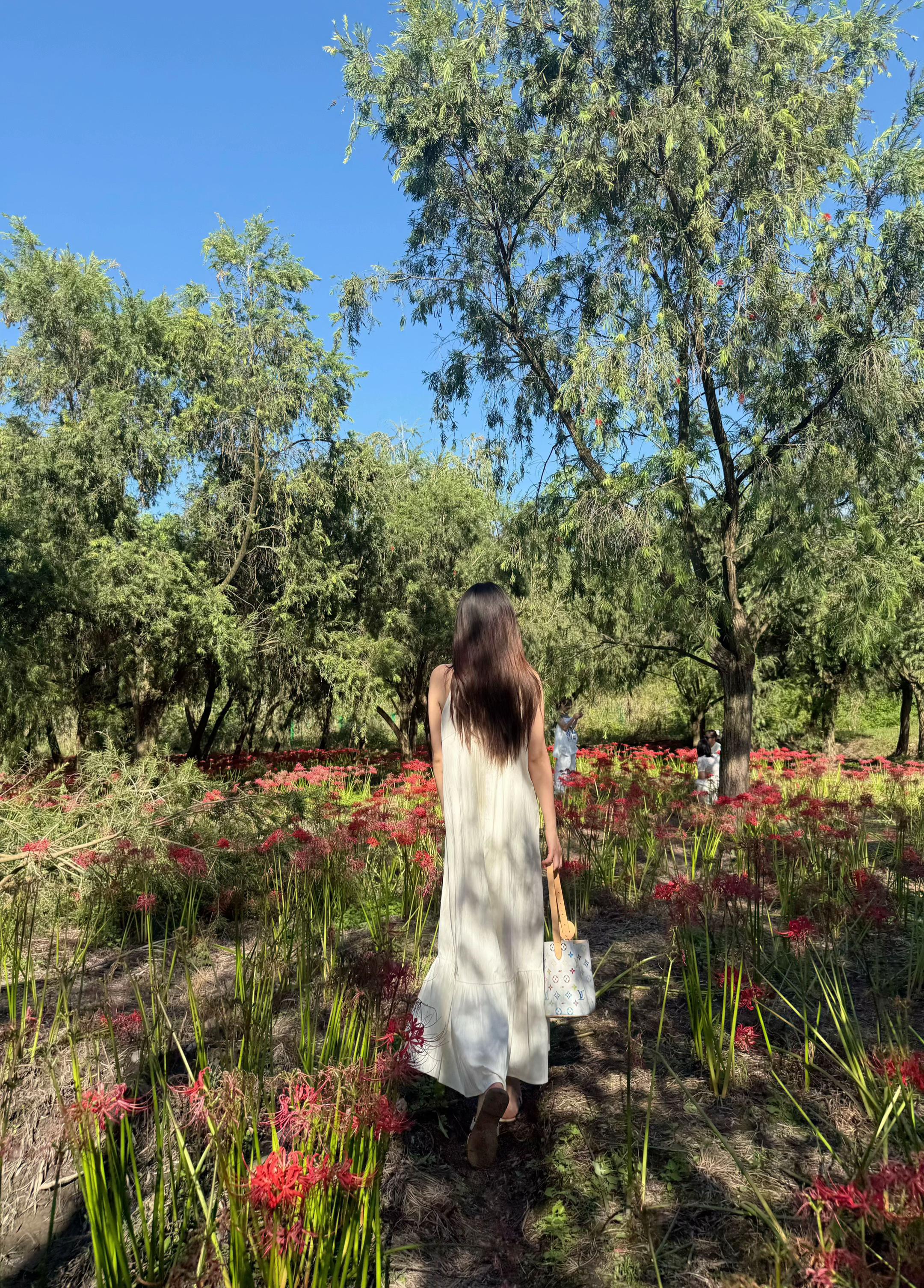 以为这次不一样 原来次次都一样