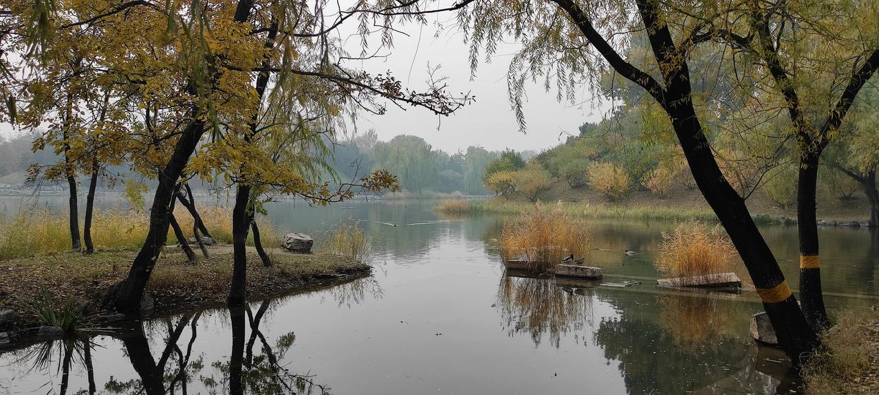 圆明园盛景华庭，波澜不惊。在圆明园拍你发现不了的美。