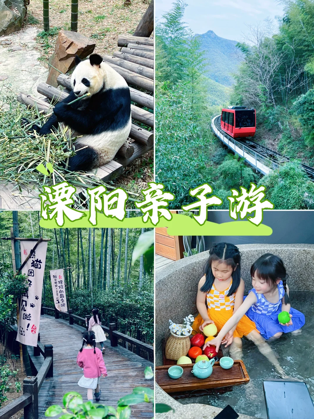 3km竹林徒步，5岁娃轻松拿捏，附攻略