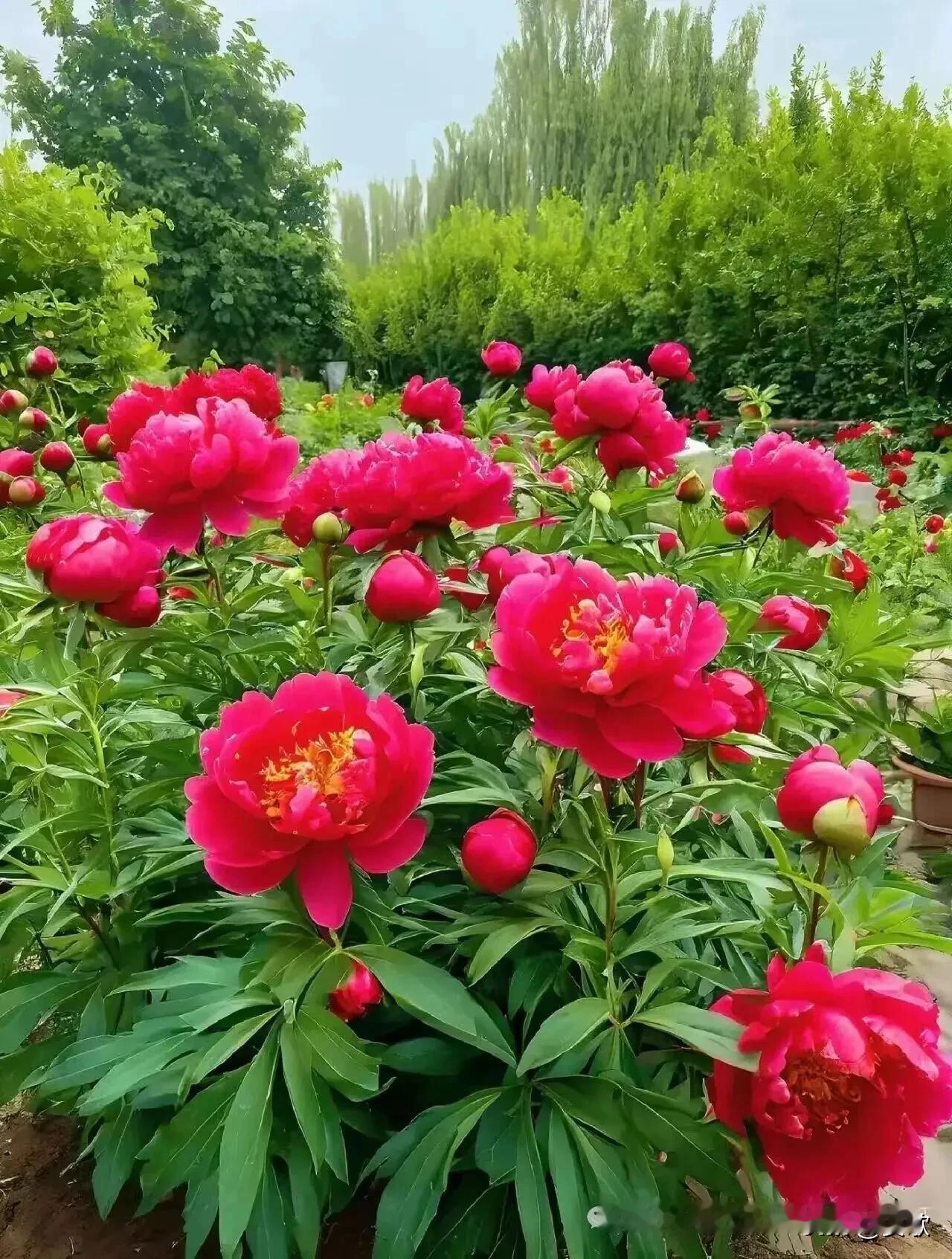 上联:雨打芭蕉琴弦乱
下联:燕衔春色画屏开
横批:画里春秋
