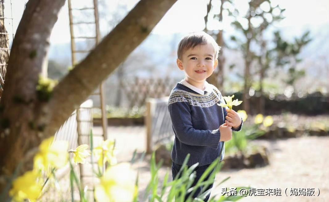 萌娃也太可爱了吧！祝弗朗索瓦小王子3岁生日快乐！官方发布的照片，小小人儿真是可爱