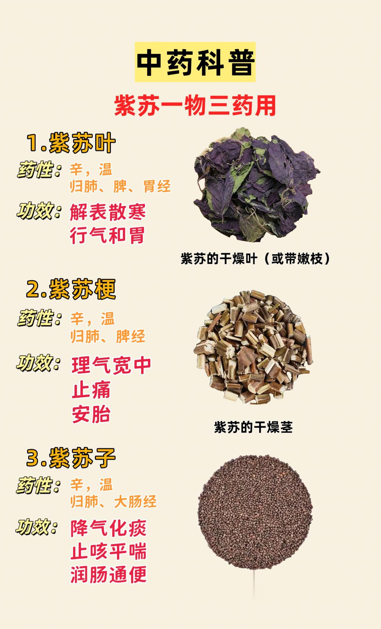 紫苏一物三药用。紫苏叶 紫苏梗 紫苏子