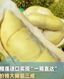 喜欢吃榴莲的开心极了！榴莲上市旺季来袭，进口实现一箱直达，价格大降超三成，多地跌