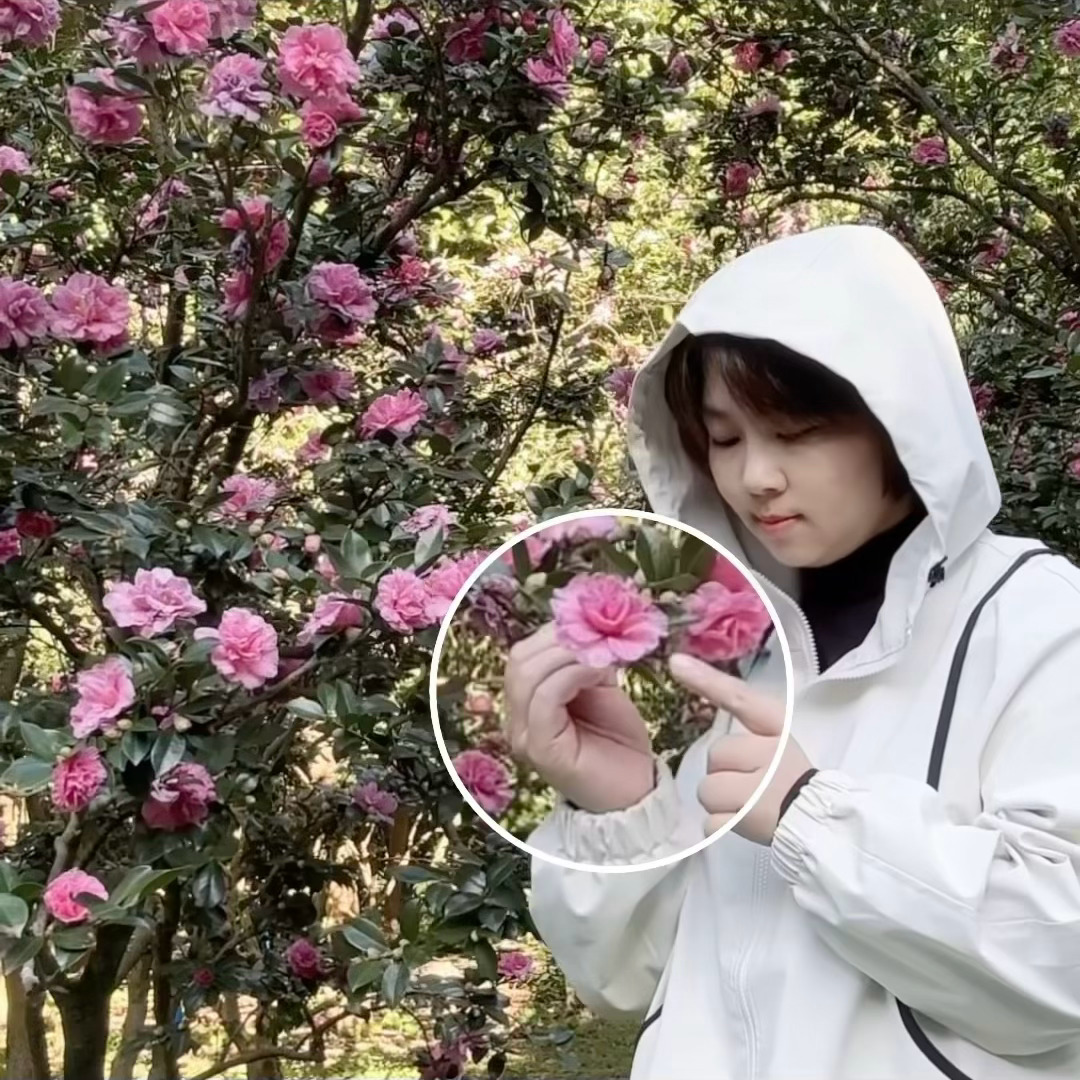 与十一月温柔道别☪️与十二月说声您好愿·事事皆如意 广州·华南理工大学五山校区