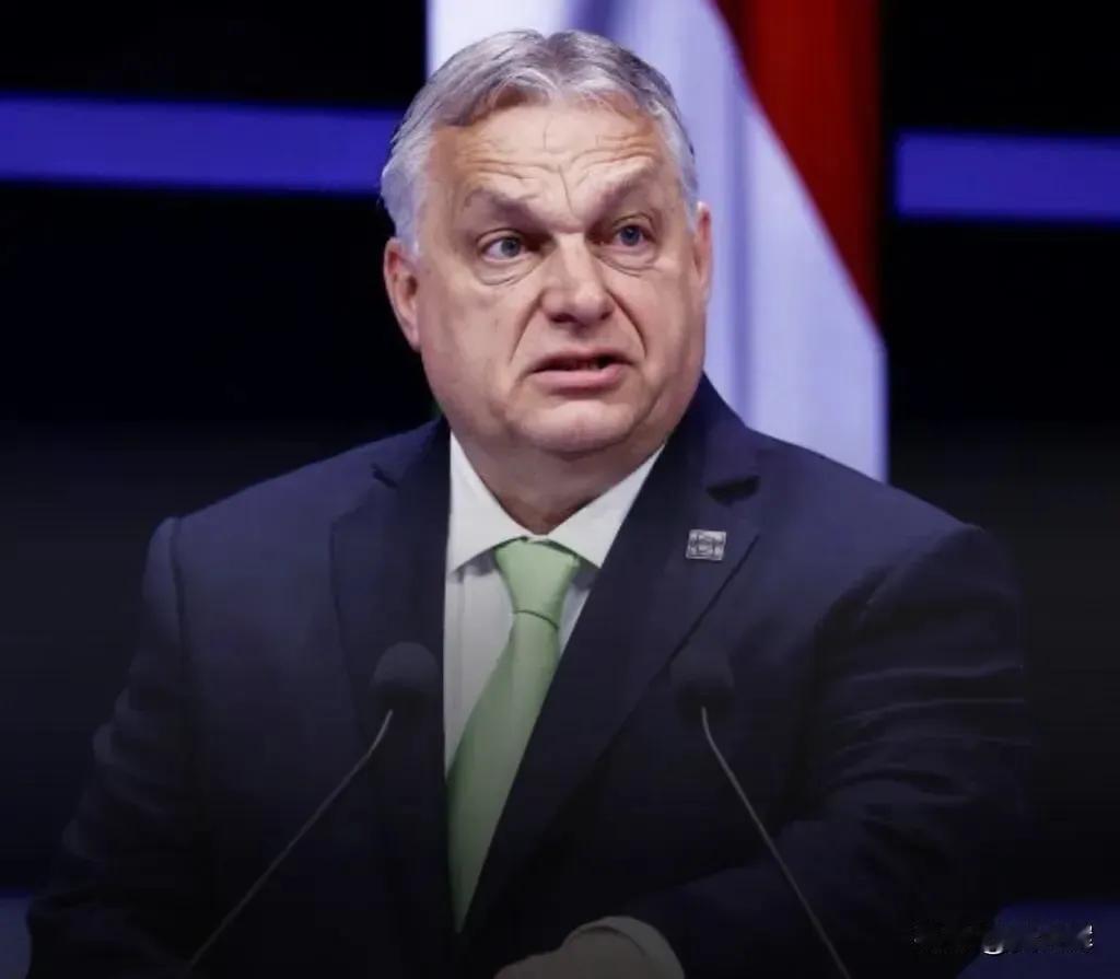 匈牙利选举引发国际社会广泛关注，惊奇的是欧盟竭尽全力让欧尔班下台，让美国与欧盟展