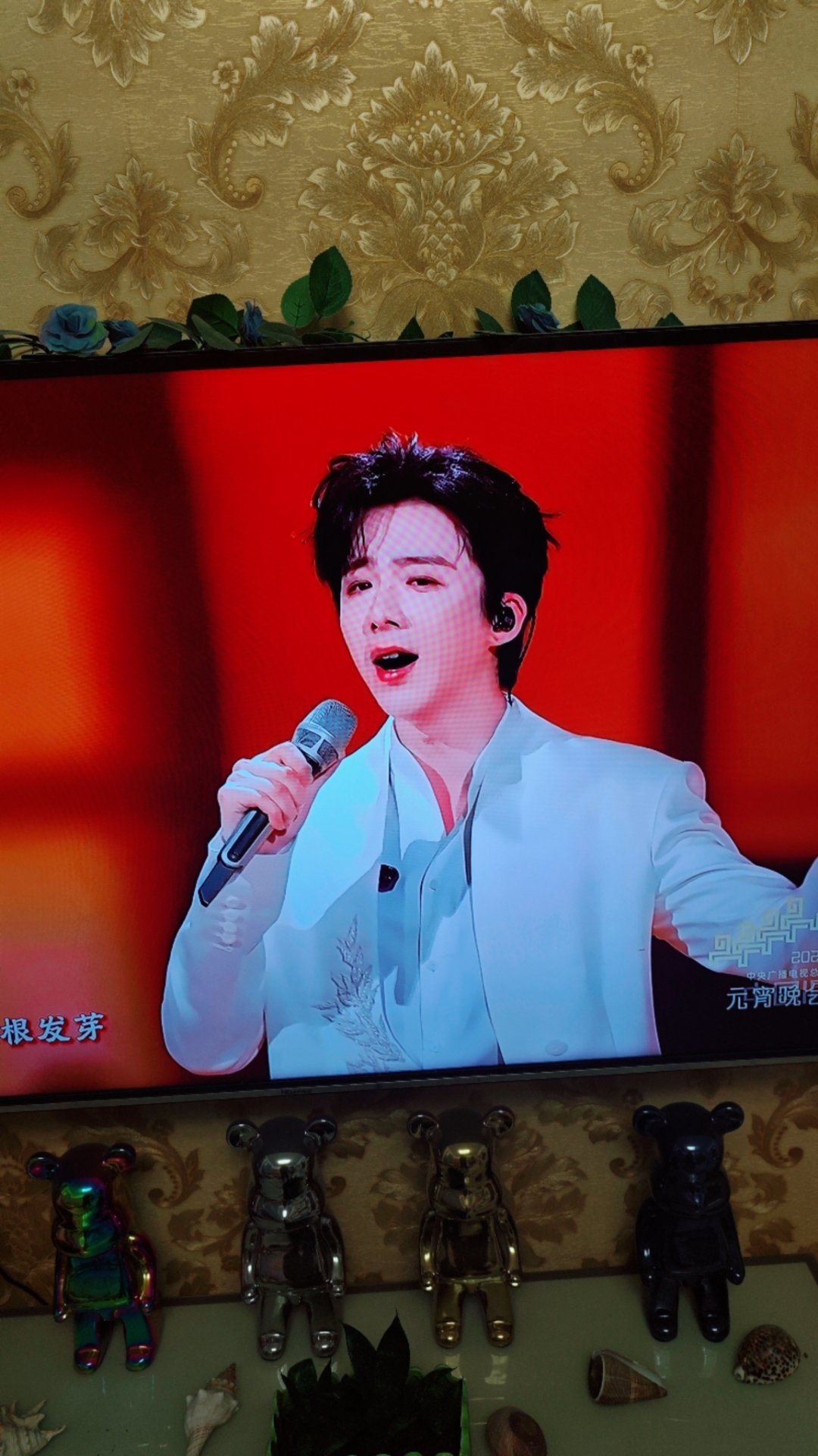 央视元宵晚会，白马王子宁。