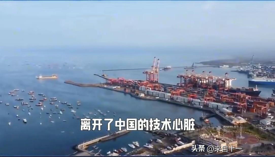 面对巴拿马在违宪情况下对中国企业运营的科隆港进行掠夺！
我们果断实施了焦土政策，