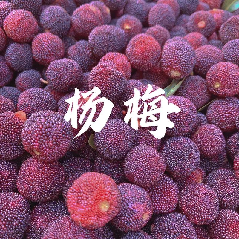 最近杨梅塌方事件闹得沸沸扬扬，这对果农的影响可不小。原本杨梅季是果农丰收赚钱的好
