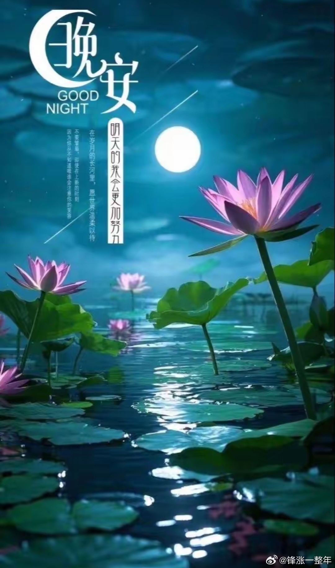 晚安[月亮][爱你] ​​​