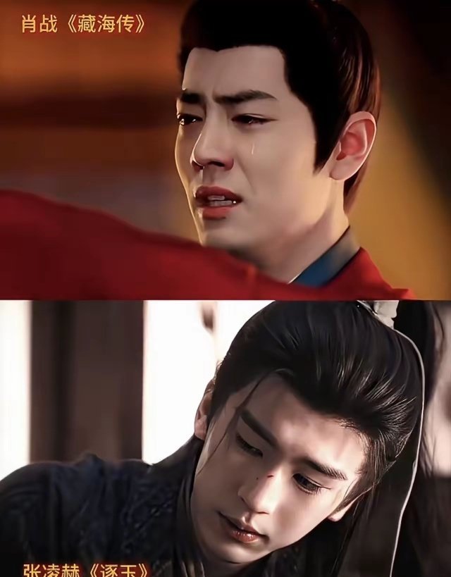 《逐玉》和《藏海传》海外热度没有可比性两部剧在海外都非常受欢迎，但是这两部剧没办
