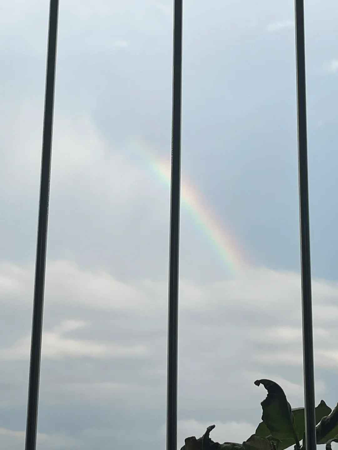 雨后彩虹🌈