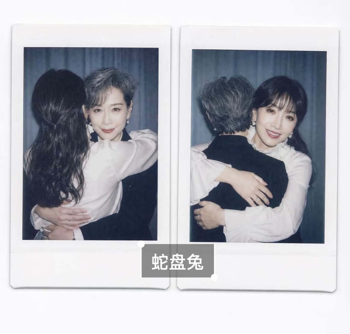 戀人懷中櫻花草 芝童道合
