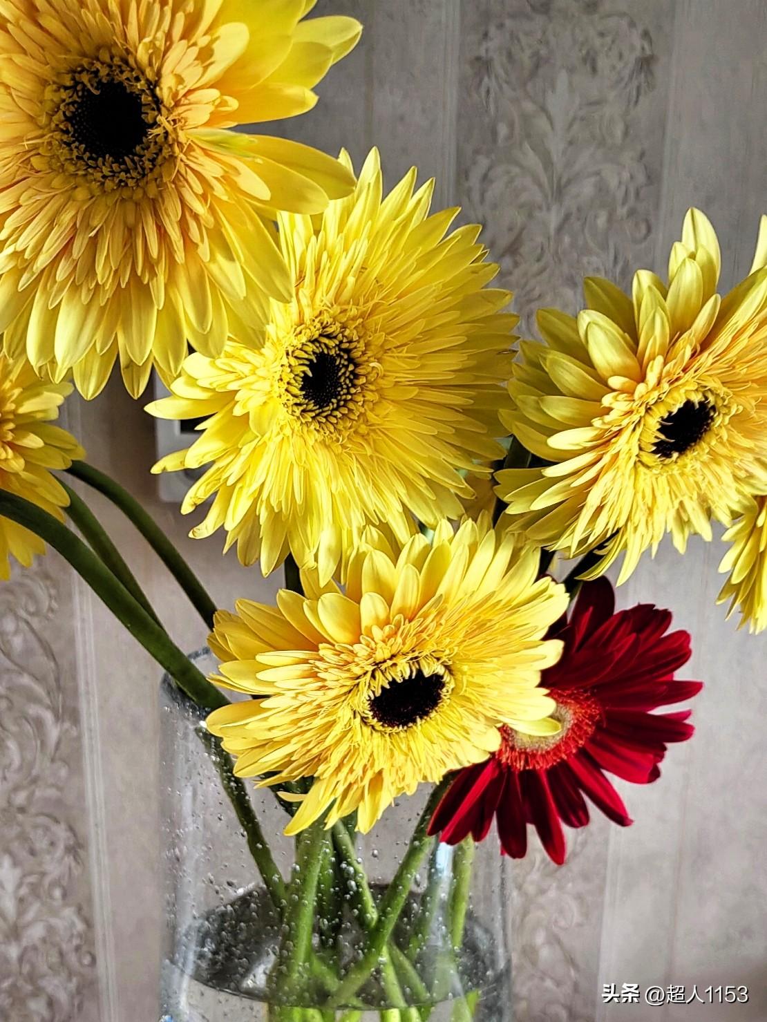 [玫瑰]欣赏每一天的问候，
[玫瑰]享受每一天的祝福。

[玫瑰]珍惜每一天的情