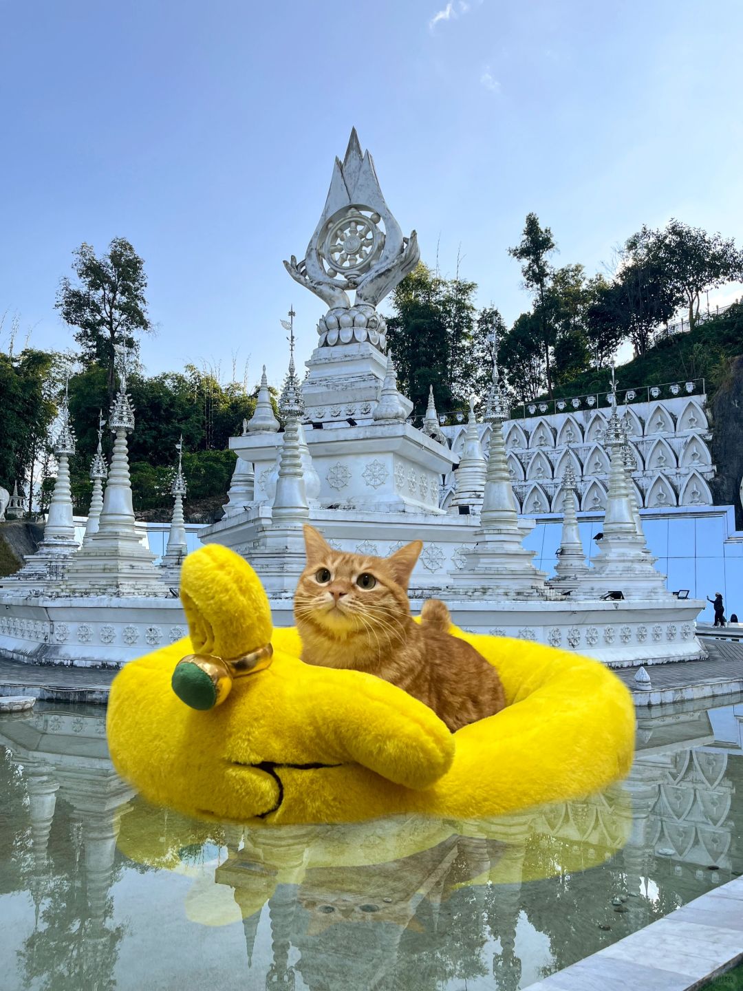 嘿～大海🍊和芒市很配呦～