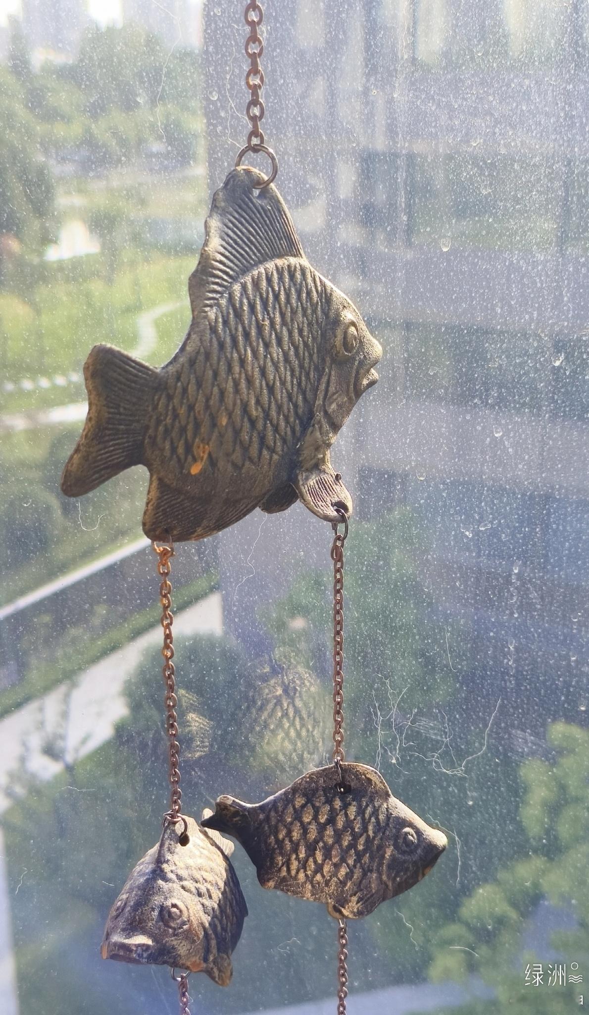 时间，把故事变格为历史/又要显摆 镜头看人间 我的宅家工作台 阿苏日记  绿洲