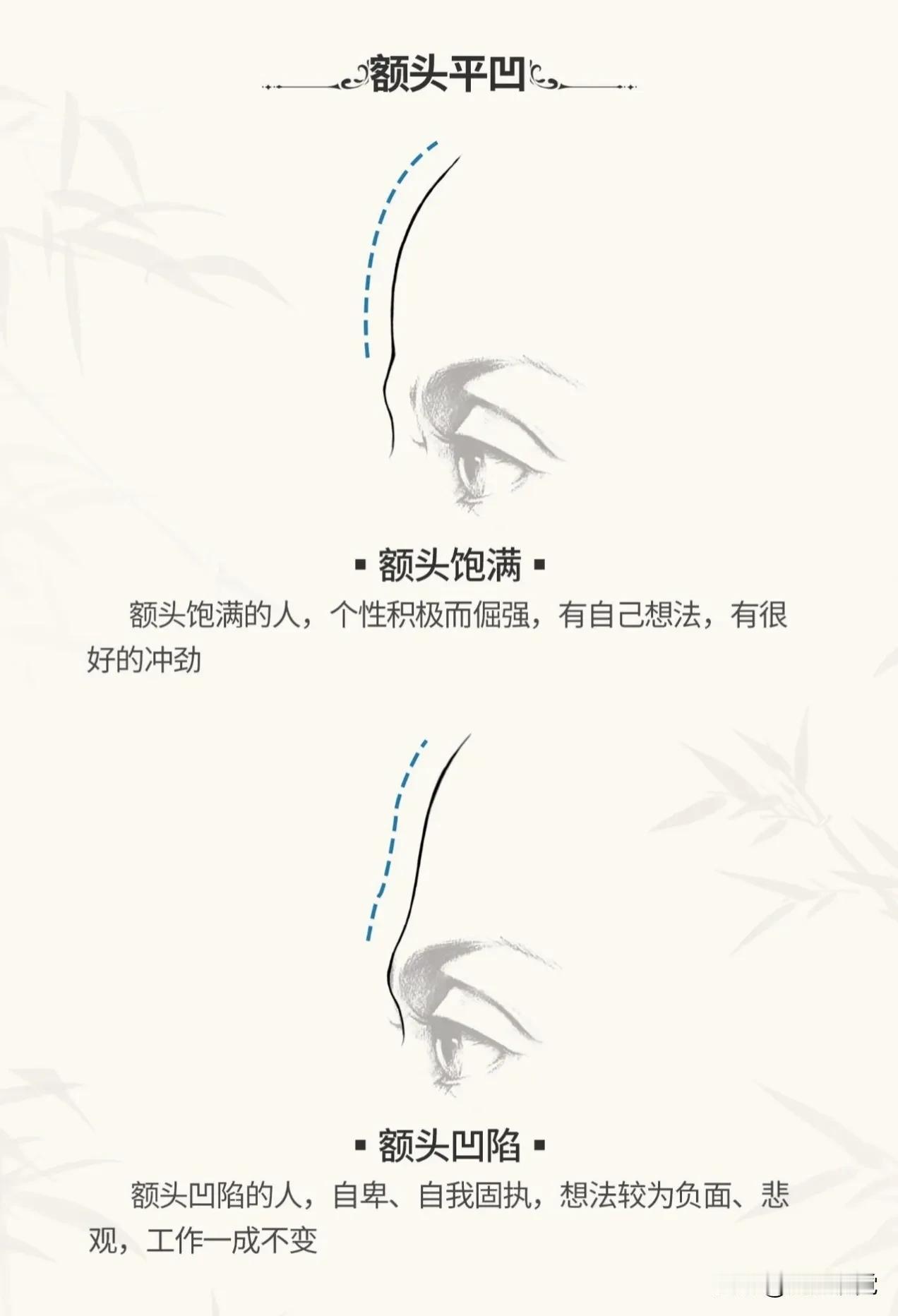 #额头特征# 学点面相知识：眉毛和发际线的中间区域就是额头的部分了，如果额头饱满