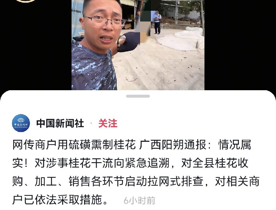广西阳朔这次火了！报道称广西阳朔有部分商家用硫磺熏制桂花，然后出售。可怕的，为了