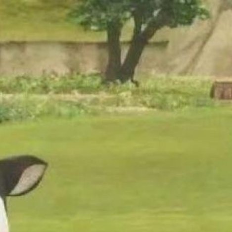 0000西瓜的种植方法一、栽种土壤与基肥选择西瓜栽种，应选择土质疏松，日照充足、