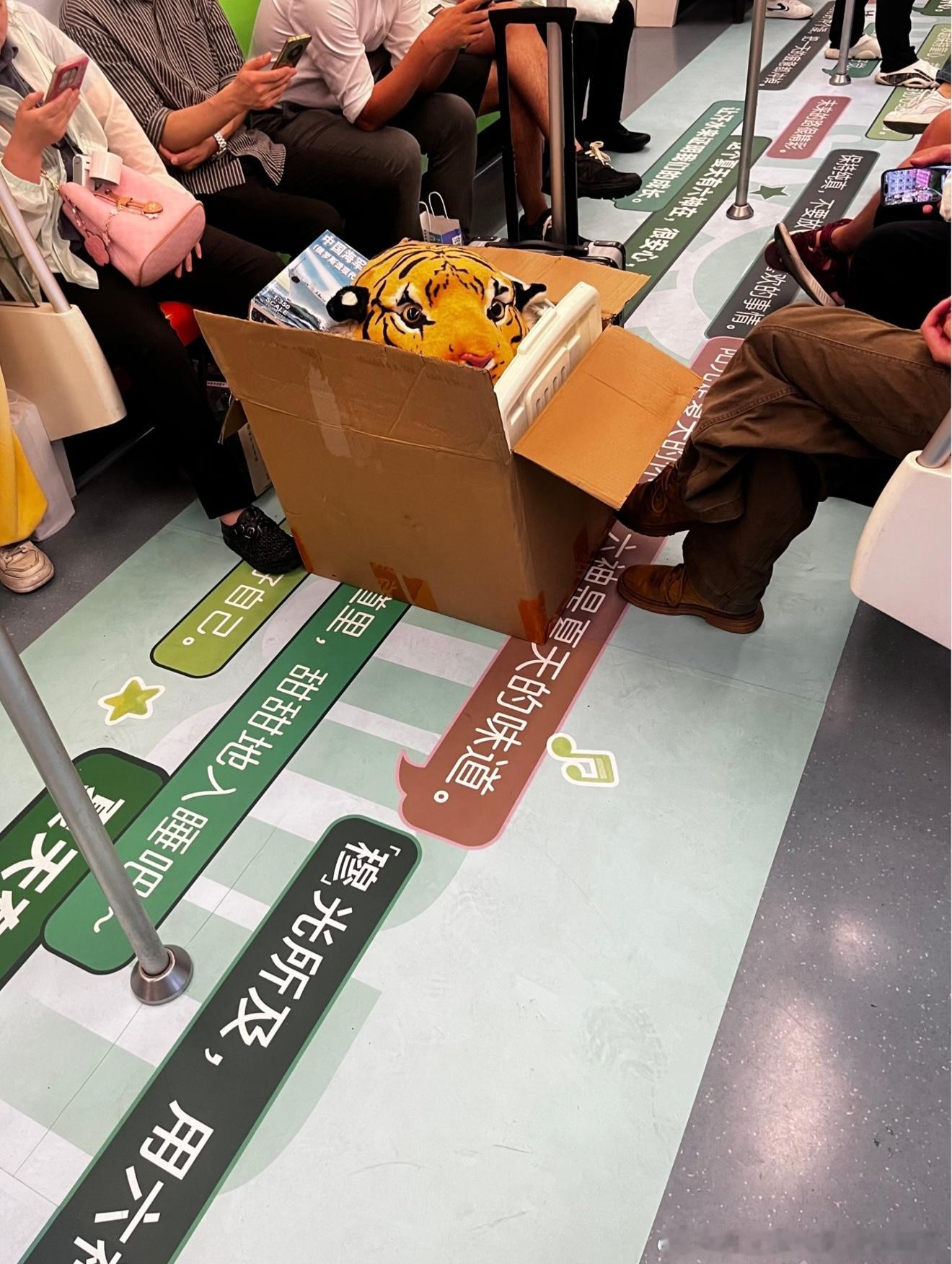6446下班坐地铁看到的…… 