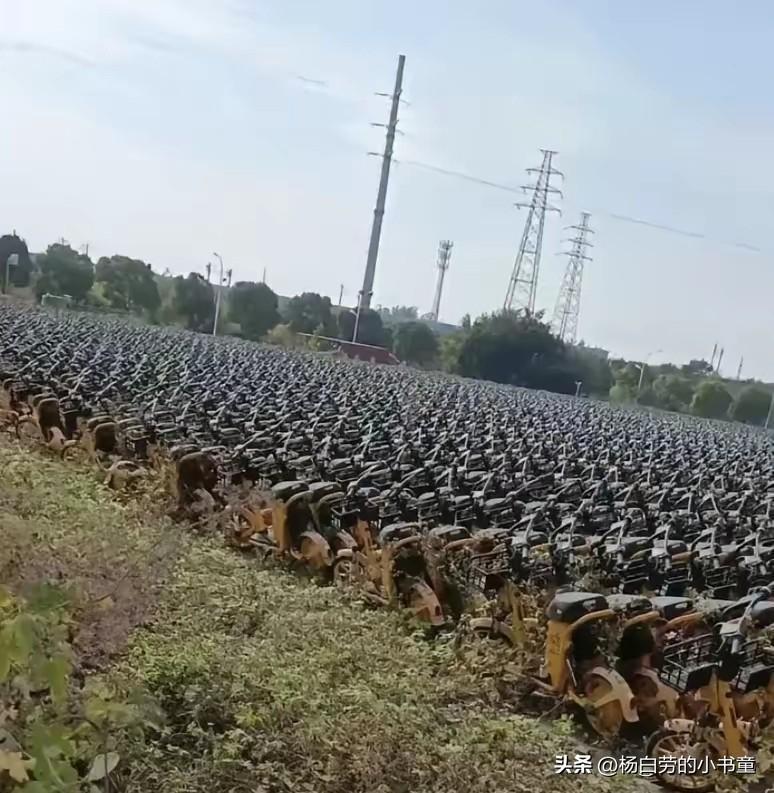 成片的共享单车
怎么不低价卖掉
扔在这里都烂掉啦
果然免费的才是最贵的
共享电单