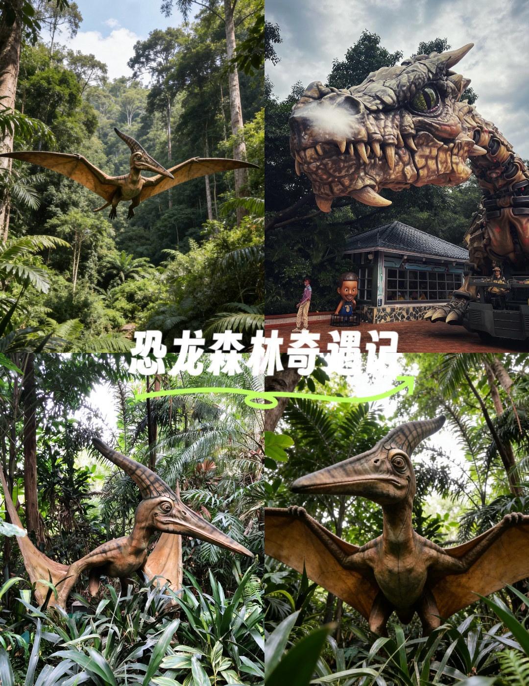 我穿越到了恐龙世界
📍广州 广州长隆野生动物世界-恐鸟雕塑
广州长隆｜闯入史前
