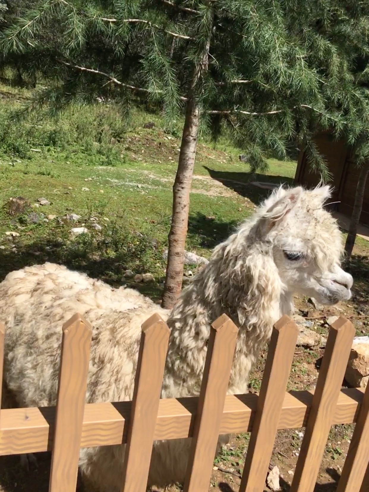 所有逆袭，都是有备而来；所有光芒，需要时间才能被看到；所有幸运，都是努力埋下的伏